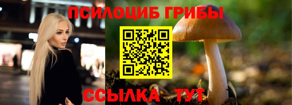 Псилоцибиновые грибы мухоморы Оренбург